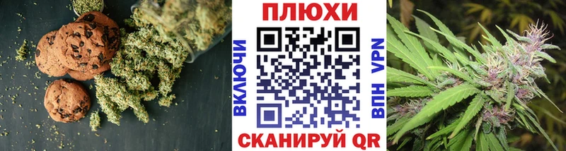 Купить закладки  Куртамыш  Cannafood марихуана 